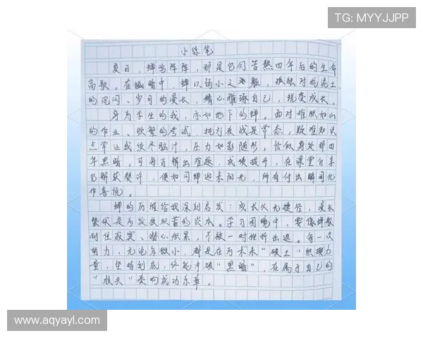 V5战队的蜕变与成长之路:从新秀到顶尖强队的纪实探索 V5战队的蜕变与成长之路:从新秀到顶尖强队的纪实探索