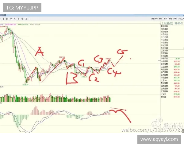 北京篮球队防守策略分析与比赛表现评估探讨 北京篮球队防守策略分析与比赛表现评估探讨
