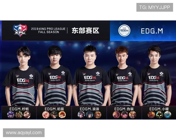 EDG战队在王者荣耀赛季中的表现分析与转型得失探讨 EDG战队在王者荣耀赛季中的表现分析与转型得失探讨