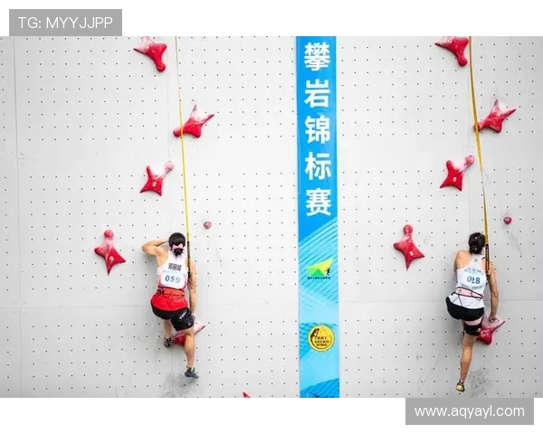 南京攀岩队速度之谜：揭秘攀岩巨献背后的训练与激情