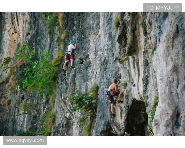南京极限运动队攀岩联赛的拼搏历程与团队精神展现 南京极限运动队攀岩联赛的拼搏历程与团队精神展现