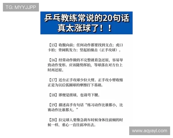 吴伟独家分享乒乓球技巧与心得助你提升球技的全面指南
