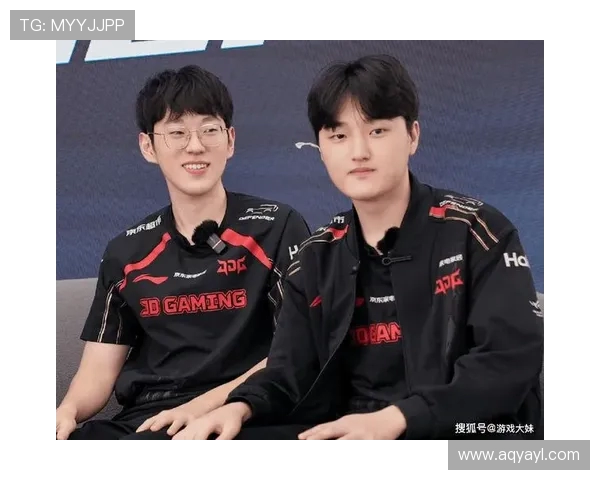 挑战者杯分析:JDG战队选手个人能力的全面展现与影响