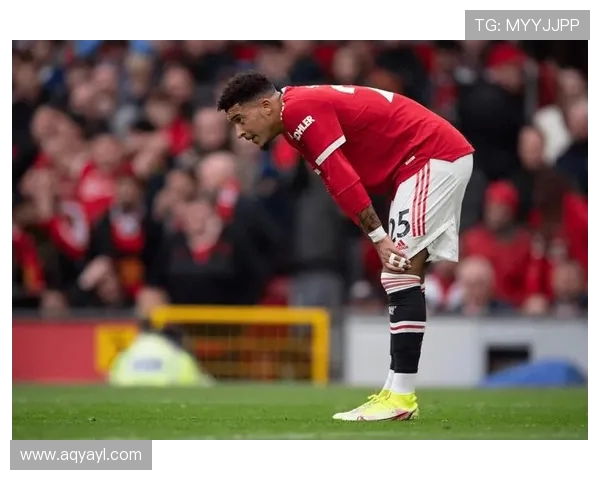 桑乔：从天才少年到足球巨星的奋斗历程与未来展望