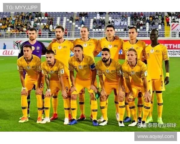 澳大利亚与荷兰精彩对决集锦回顾赛场瞬间尽显足球魅力与激情 澳大利亚与荷兰精彩对决集锦回顾赛场瞬间尽显足球魅力与激情