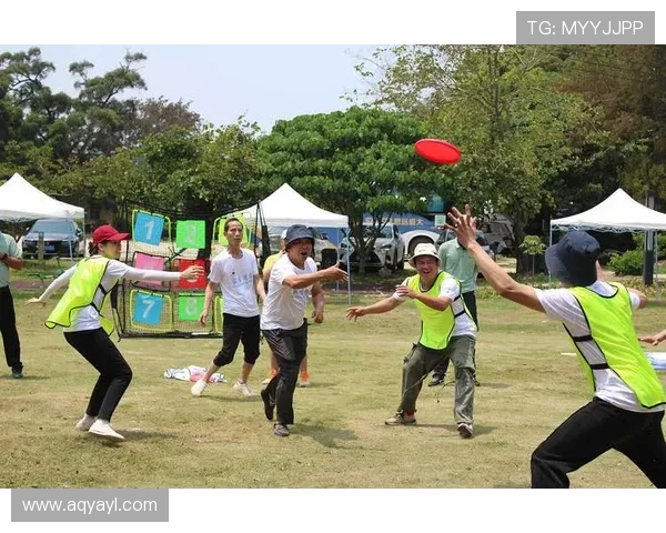 飞盘热潮下的争论上海飞盘队技术之争引发广泛关注与讨论