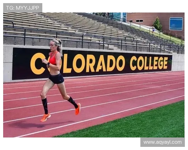 杭州篮球队耐力表现数据分析揭示运动员训练与比赛的关键因素