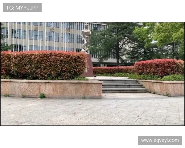 武汉滑板队个人能力分析与表现评估的全面研究与探讨