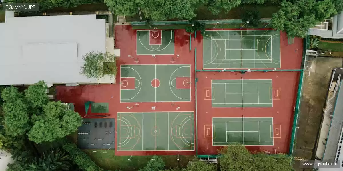 🏆全球赛事，一键直达！⚽️